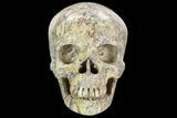 Realistic, Polished Jasper Skull #127603-1
